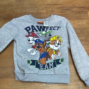 Nickelodeon Paw Patrol Gray Sweatshirt